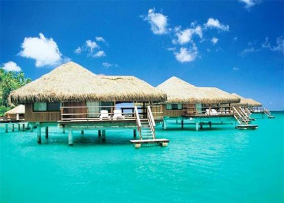 Cấu trúc thép gỗ trang trí nhà, nhà bungalow chế tạo sẵn