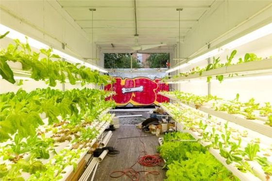 Nông nghiệp thủy canh Nhà chứa Prefab Hạ thép khung nhà mô-đun